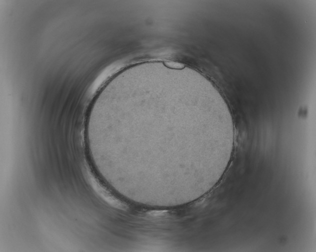 X0000111520054200908251148