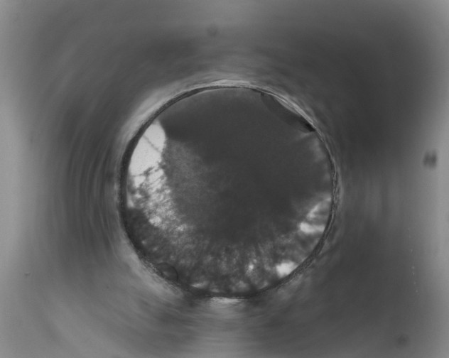 X0000111520055200908251148