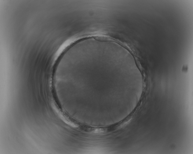 X0000111520056200908251148