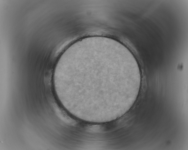 X0000111520058200908251148