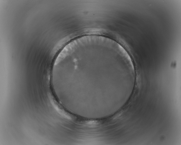 X0000111520059200908251148