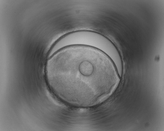 X0000111520060200908251148
