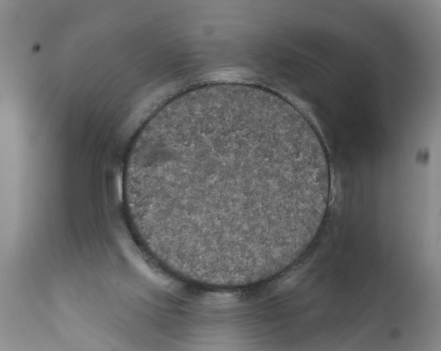 X0000111520061200908251148