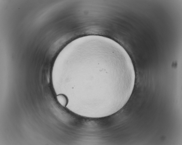 X0000111520062200908251148