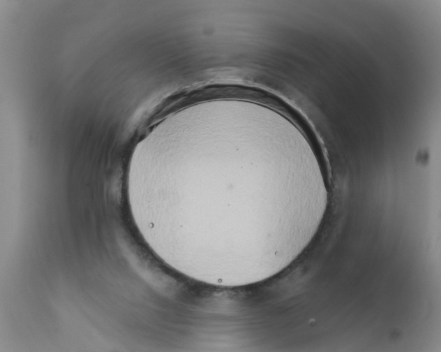 X0000111520064200908251148
