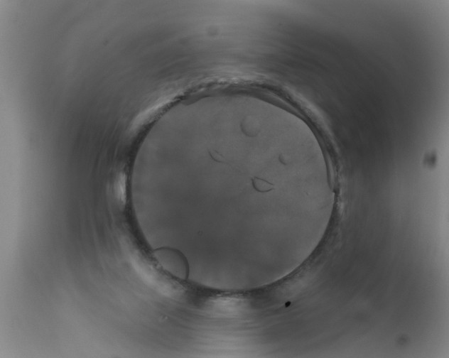 X0000111520067200908251148