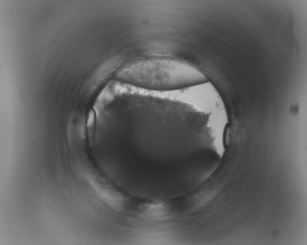 X0000111520068200908251148