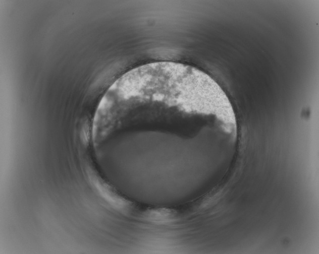 X0000111520069200908251148