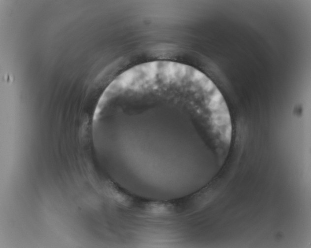 X0000111520073200908251148