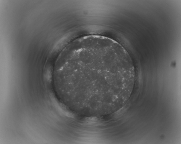 X0000111520074200908251148