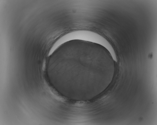 X0000111520076200908251148