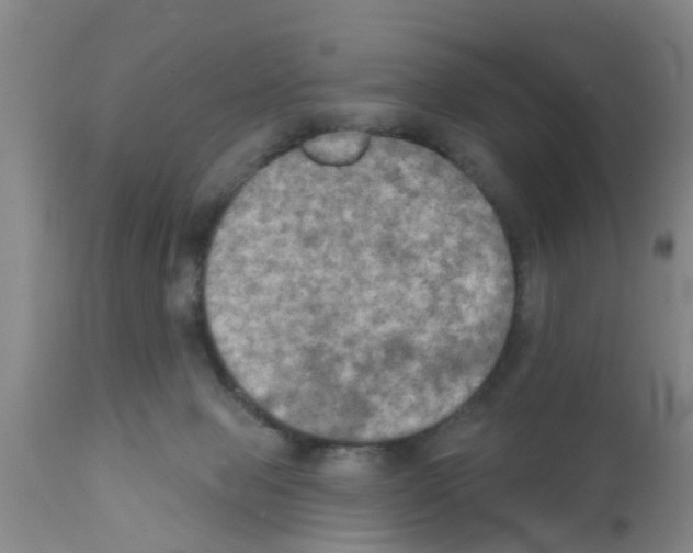X0000111520077200908251148