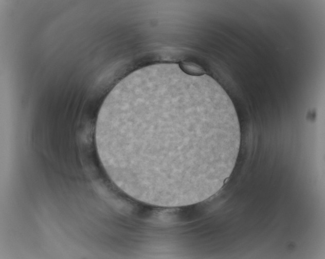 X0000111520078200908251148