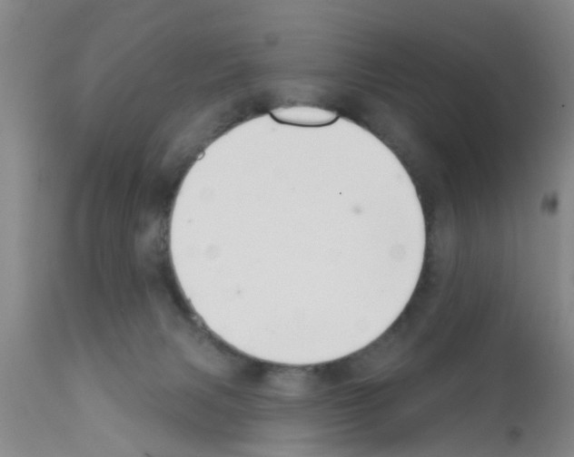 X0000111520079200908251148