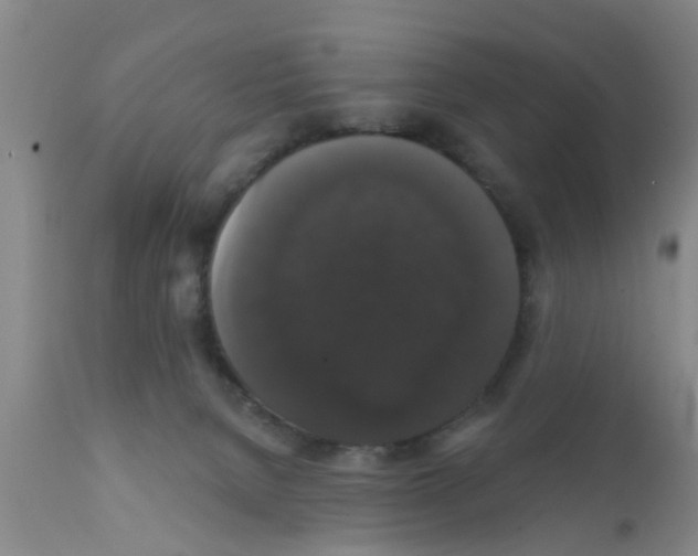 X0000111520080200908251148