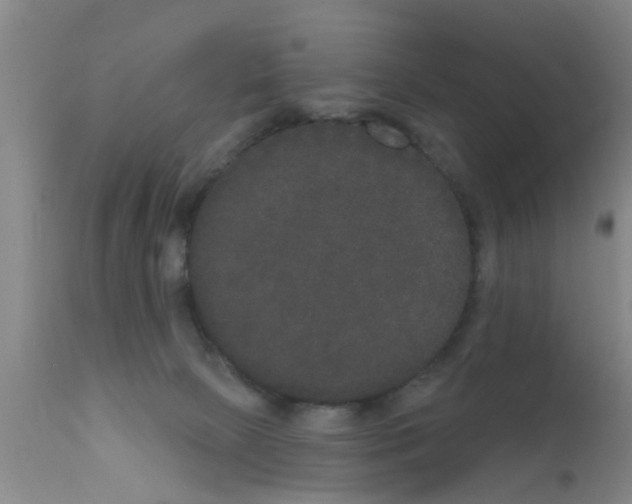 X0000111520081200908251148