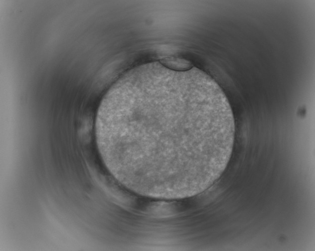 X0000111520082200908251148
