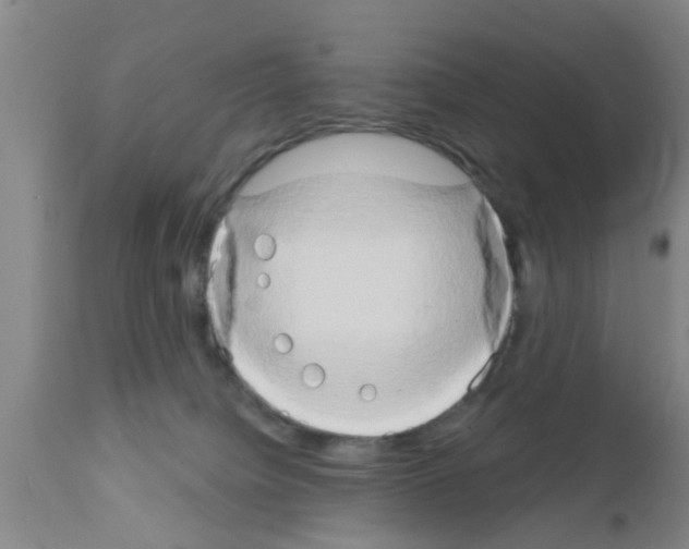 X0000111520084200908251148