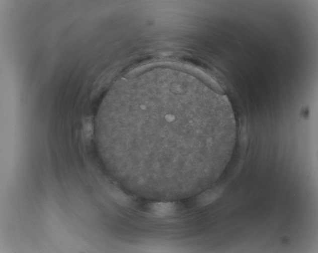X0000111520085200908251148