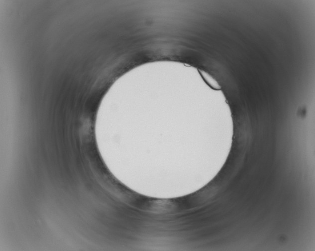 X0000111520087200908251148