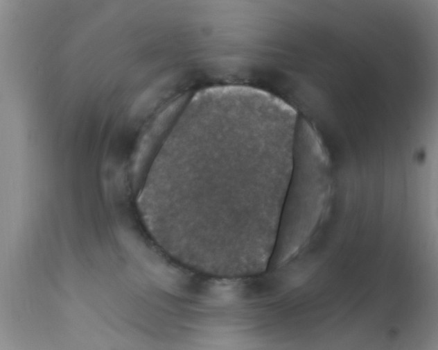 X0000111520088200908251148