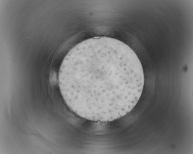 X0000111520089200908251148