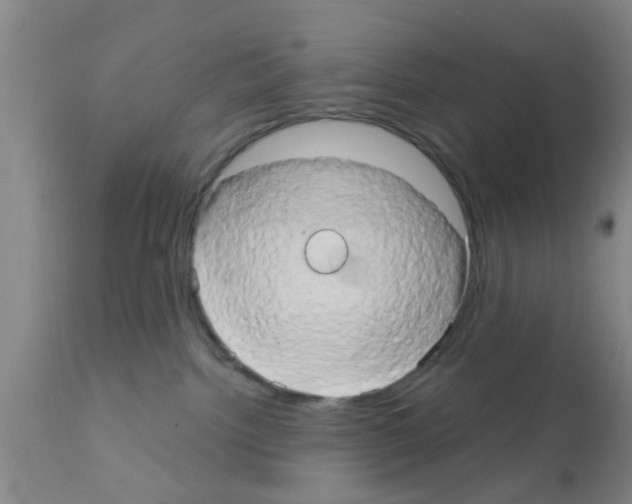 X0000111520092200908251148