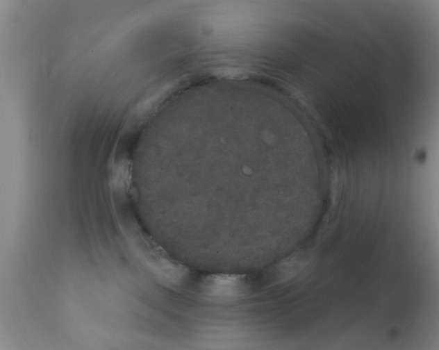 X0000111520093200908251148