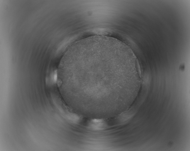 X0000111520095200908251148