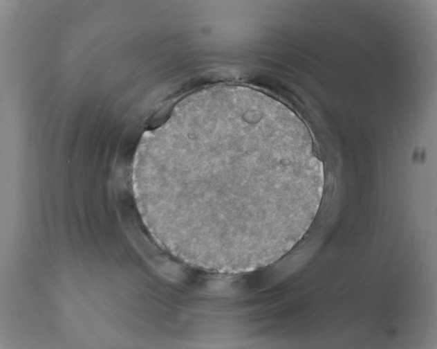 X0000111520096200908251148
