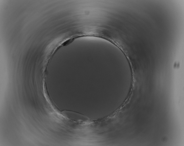 X0000111520097200908251147