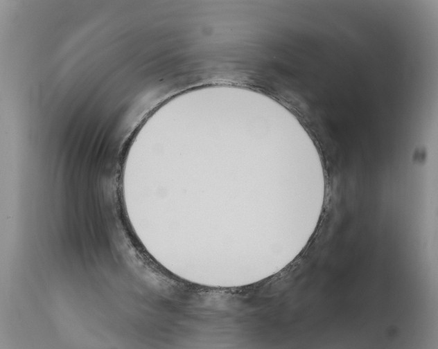 X0000111520098200908251147