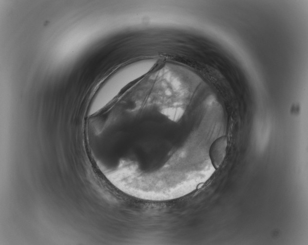 X0000111520099200908251147