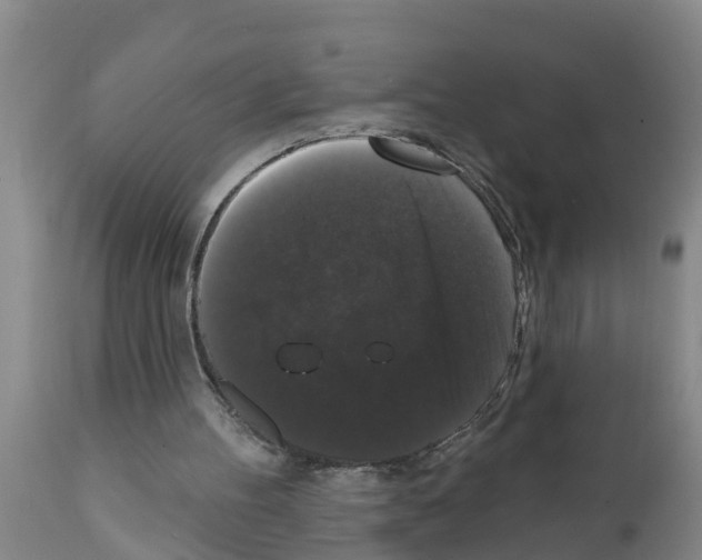 X0000111520100200908251147