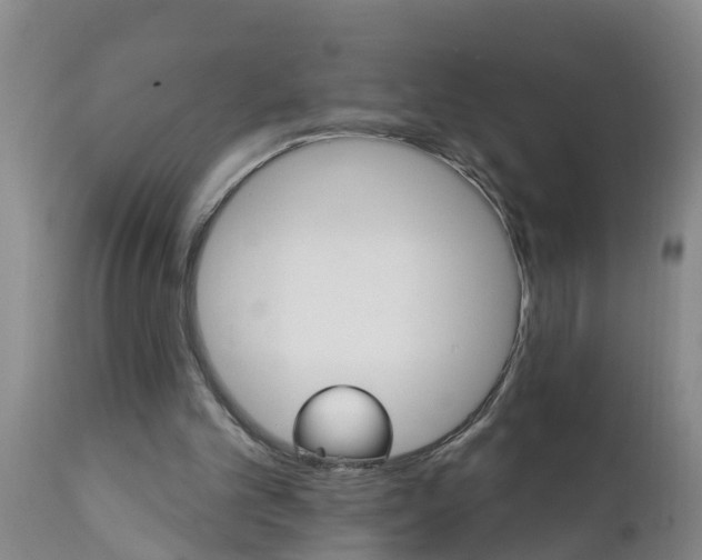 X0000111520101200908251147