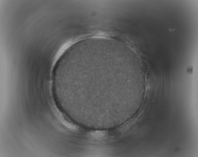 X0000111520102200908251147