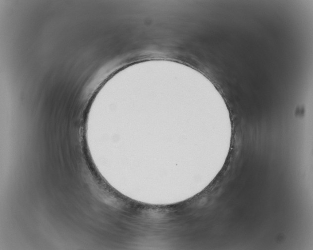 X0000111520103200908251147