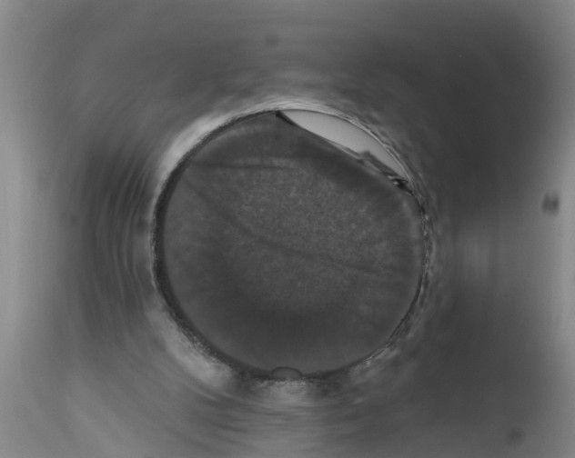X0000111520104200908251147