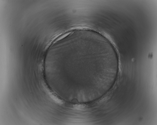 X0000111520105200908251147