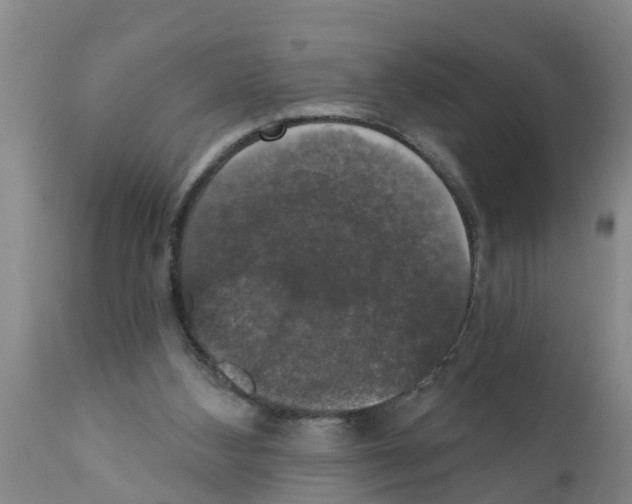 X0000111520108200908251147
