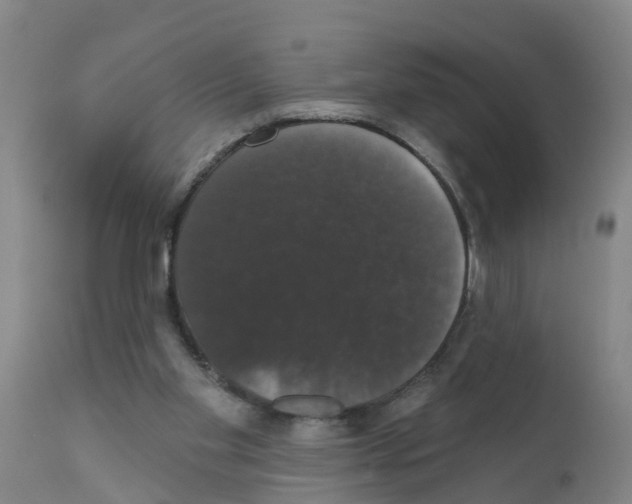 X0000111520109200908251147