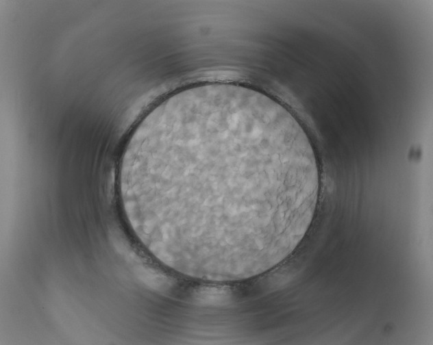 X0000111520110200908251147