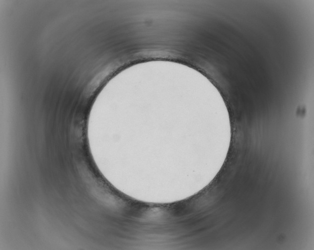 X0000111520111200908251147