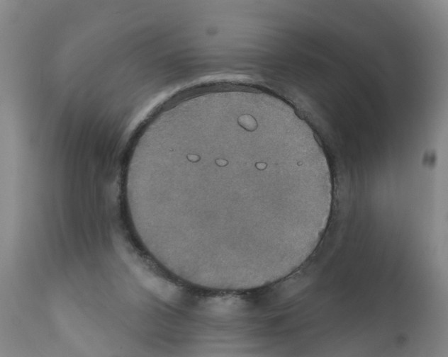 X0000111520112200908251147