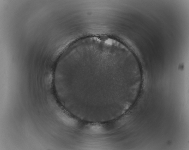 X0000111520113200908251147