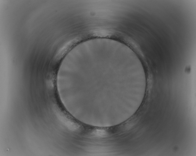 X0000111520114200908251147