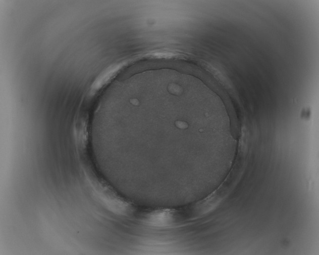 X0000111520116200908251147