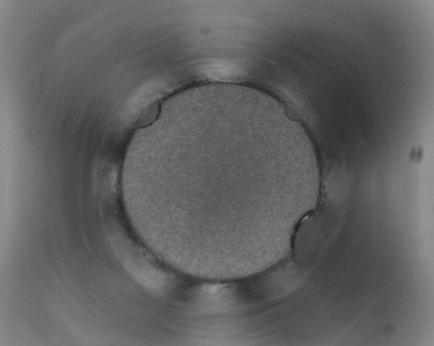 X0000111520117200908251147