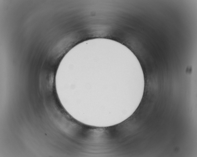 X0000111520118200908251147