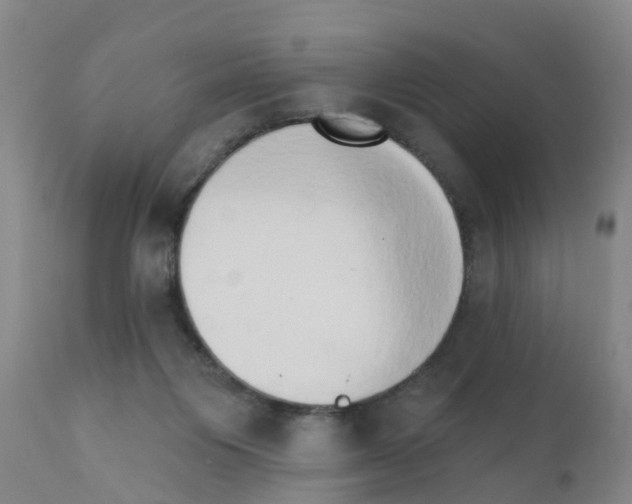X0000111520119200908251147
